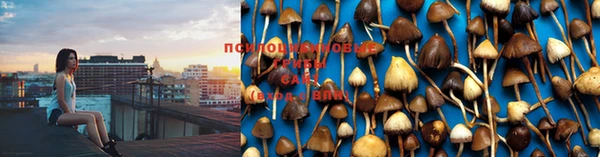 марки nbome Армянск
